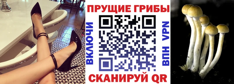 Галлюциногенные грибы ЛСД  закладки  Тара 