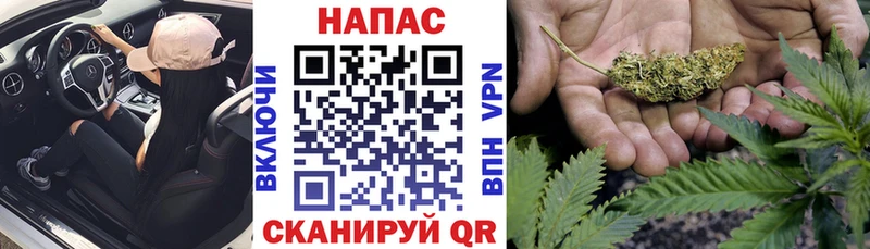 Бошки Шишки White Widow  Тара 